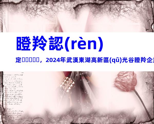 瞪羚認(rèn)定，2024年武漢東湖高新區(qū)光谷瞪羚企業(yè)認(rèn)定條件、程序梳理